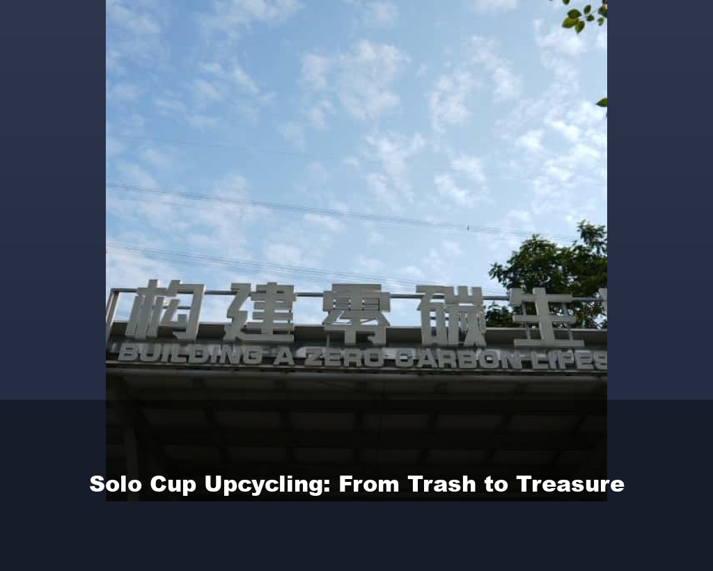 Solo Cup Upcycling: From Trash to Treasure