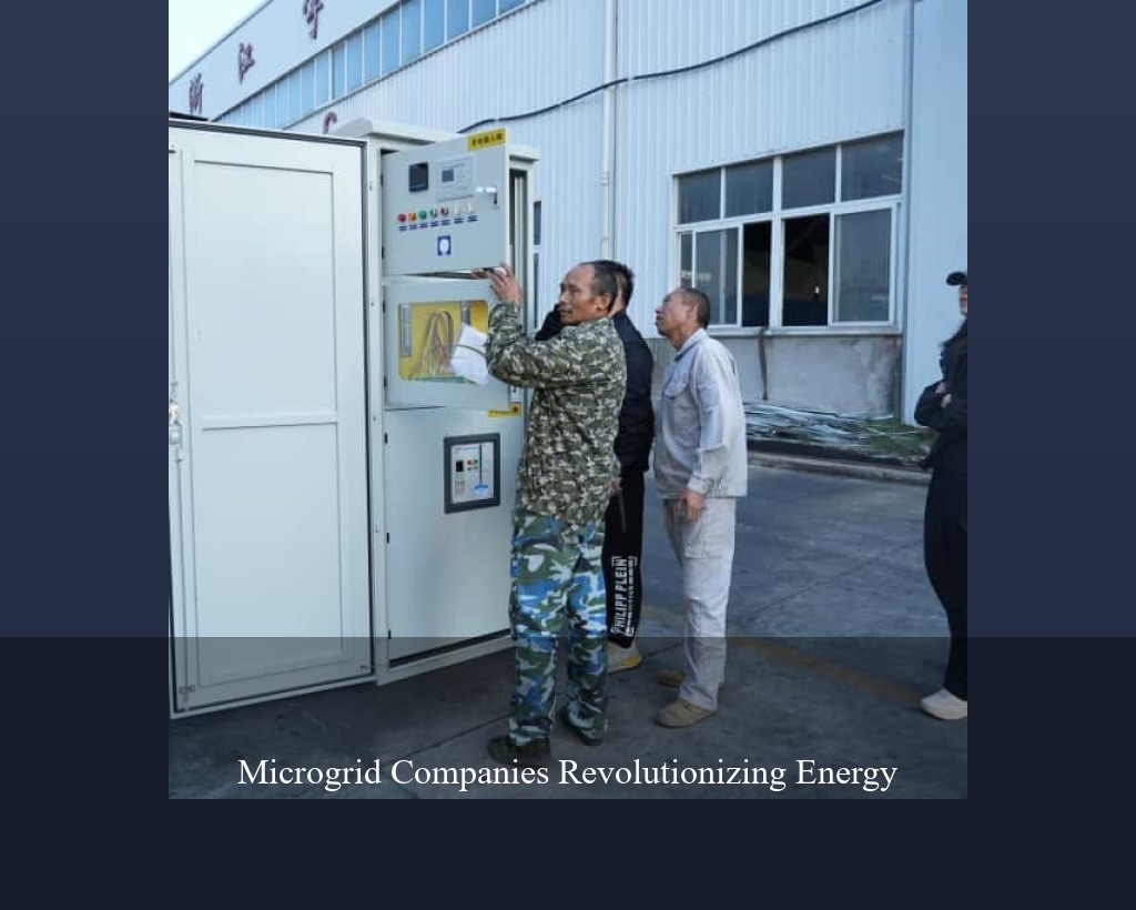Microgrid Companies Revolutionizing Energy