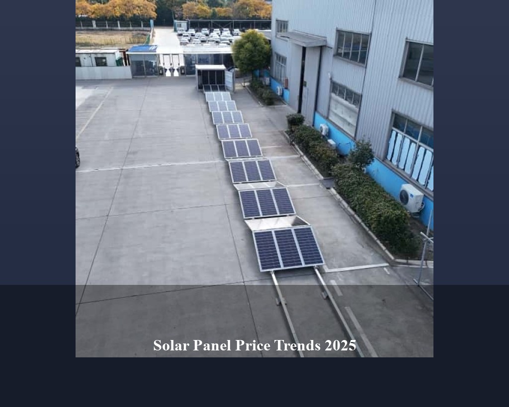Solar Panel Price Trends 2025