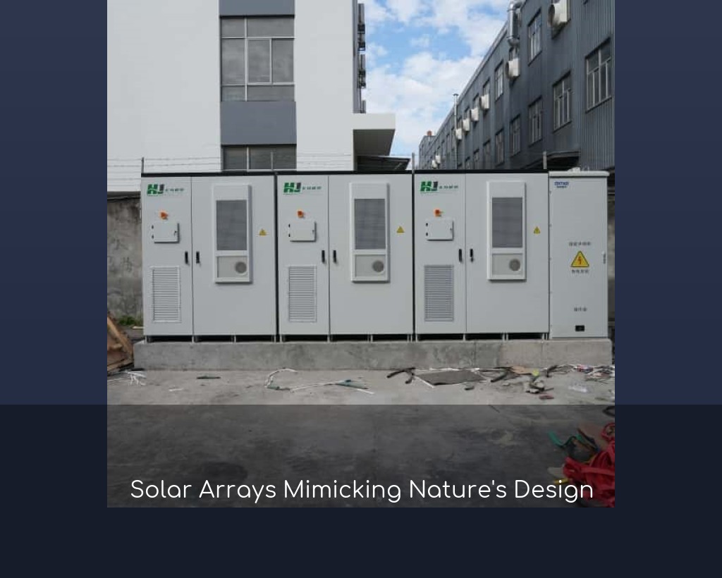 Solar Arrays Mimicking Nature's Design