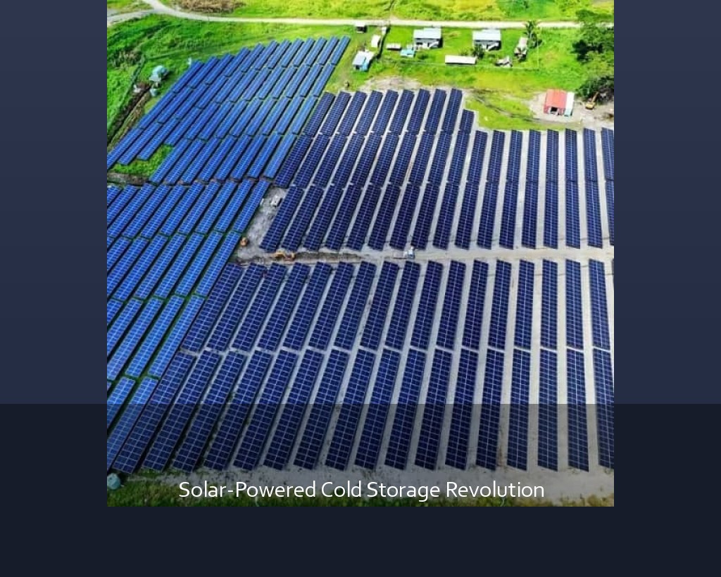 Solar-Powered Cold Storage Revolution