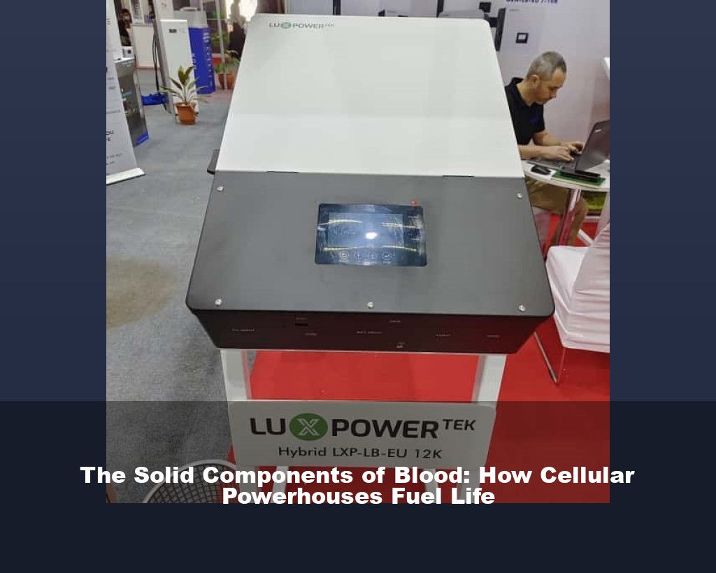 The Solid Components of Blood: How Cellular Powerhouses Fuel Life